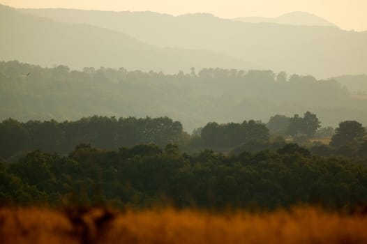 Mountain hills at sunset light