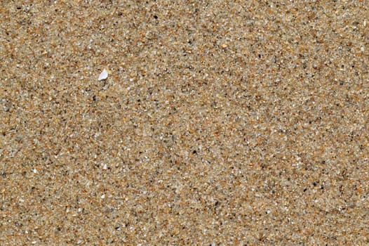 Wet sea sand background