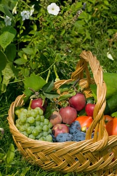 Fresh fruits and vegetables in a basket