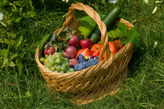 Fresh fruits and vegetables in a basket, the basket in a green grass