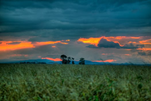 Colorful sunset over a corn field