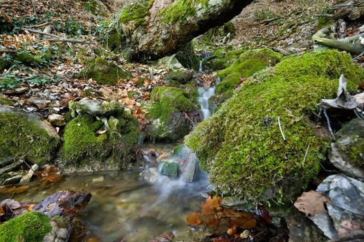 Mountain stream and mossy stones