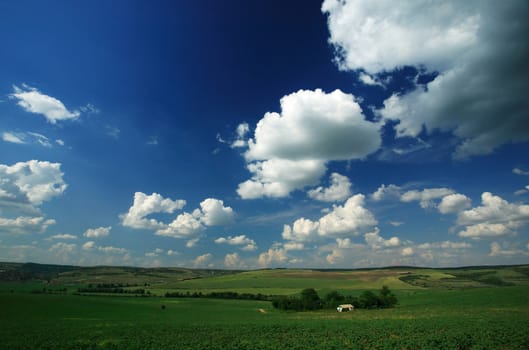 Rural scene with blue sky and green fields