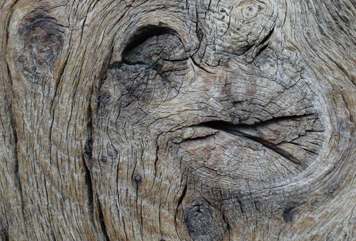 Old wood close-up
