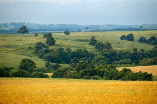 Landscape from Strandja mountain