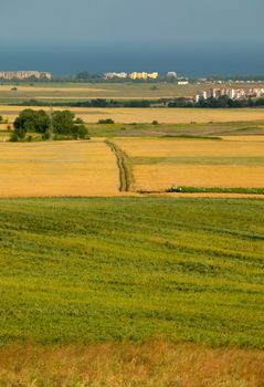 Scenery with sea and corn fields from the region of Pomorie