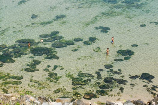 The beach near the town of Tzarevo, Bulgaria