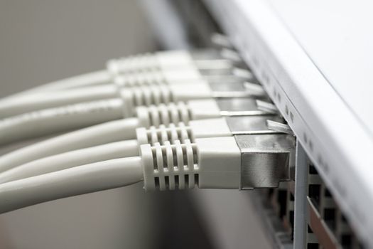 Network cables connected to a switch