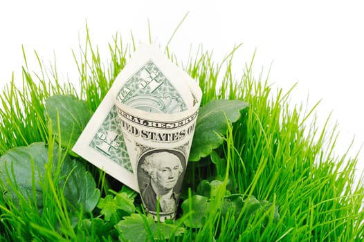 Banknote folded as a tube inside the green grass and leaves