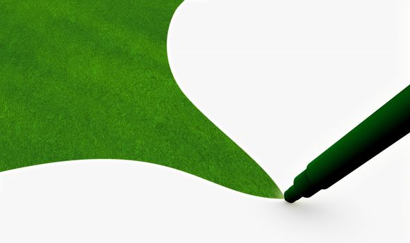 Environment Friendly Green Products as a Art