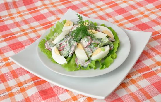 Salad radishes and cucumbers in sour cream sauce with egg