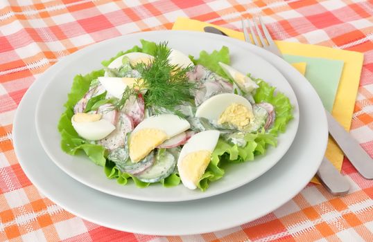 Salad radishes and cucumbers in sour cream sauce with egg