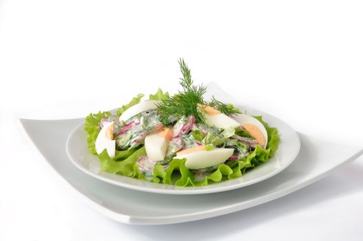 Salad radishes and cucumbers in sour cream sauce with egg