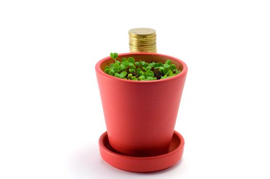 Two colored flower pots  isolated over white