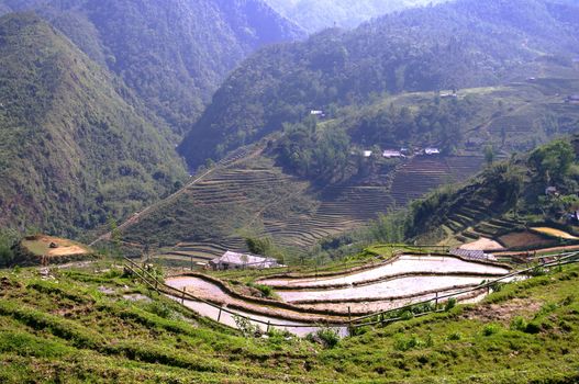 Rice fields occupy a large area in the northern mountains.