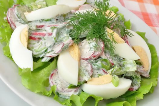 Salad radishes and cucumbers in sour cream sauce with egg