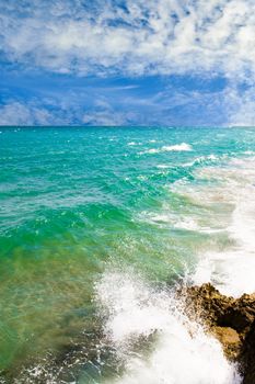 Nice tropical background from the coastline of Spain