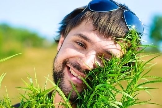 Young man with glasses in the bush of hemp. Shoot in the field of marijuana.