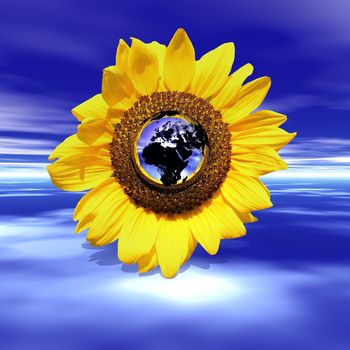 Sunflower with the earth in the heart in a cloudy blue sky
