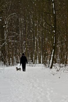 Woman walks the dog in  the forest at winter time