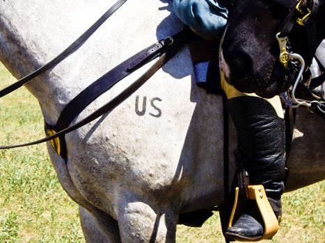 US Cavalry horse with soldier