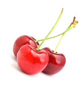 cherry