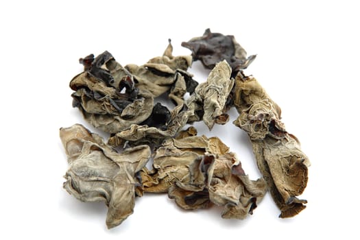 black fungus