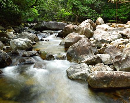 water spring in forest