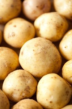 Washed potatoes are close. Picture for vegetables, food ingredients, vegetable growing
