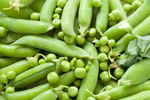 Green peas in the pod up close. Picture food ingredients