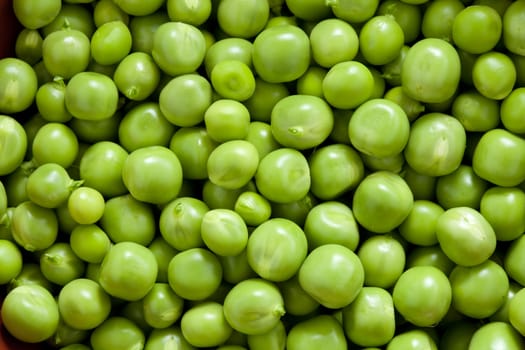 Shelling peas close up. Picture food ingredients