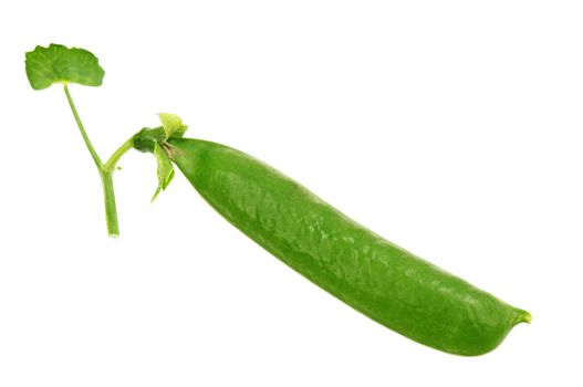 Fresh green pea pod isolated on white background