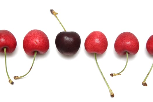 Row of cherries, dark cherry among red ones