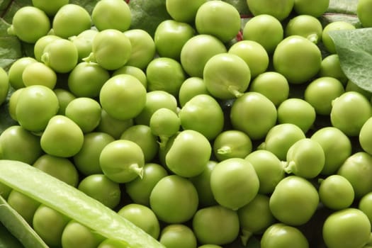 Close-up of fresh green pea. Natural shooting