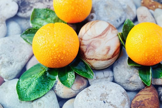 Three mandarin with drops between the sea stones