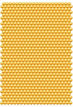 Bee honeycombs pattern isolated on a white background