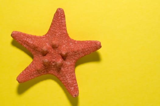 red five-finger star on yellow background