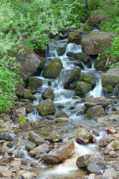 Small wood falls. A summer landscape