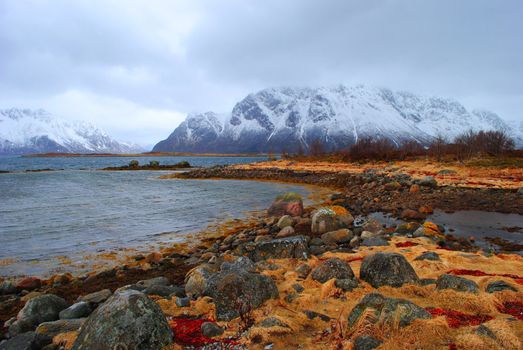Landscape from Lofoten, Norway.