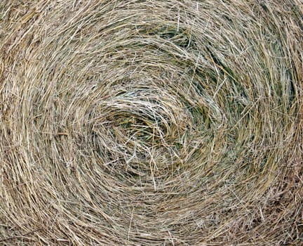 This image shows a closeup view from bale of straw