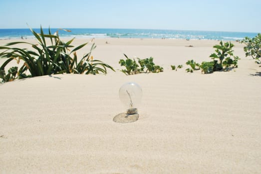 concept of a lightbulb on sand (environment issue)