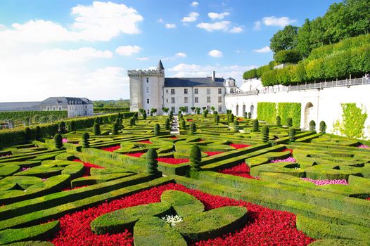 amazing gardens of Villandry castle - Loire valley