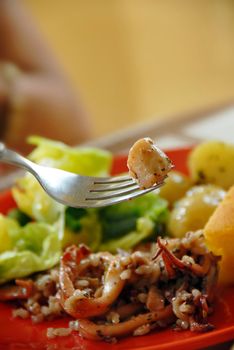 squids rice with vegetables on red plate, piece on fork