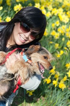 A cute terrier mix breed pup in the arms of a beautiful Spanish woman posing in front of the yellow daffodil flowers in the Spring time.