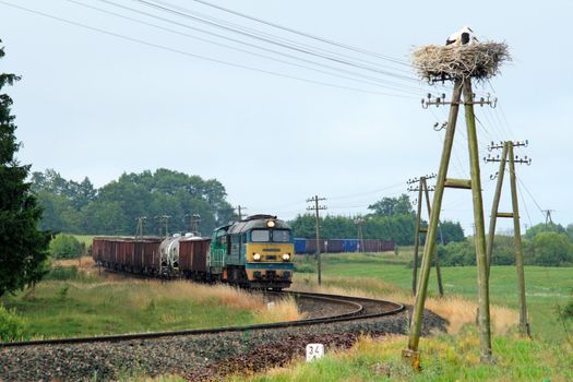 Freight train passing the countryside with stork nest on the telegraph pole
