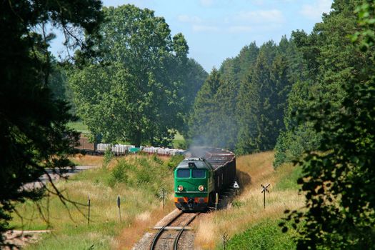 Freight train hauled by the diesel locomotive is entering the forest