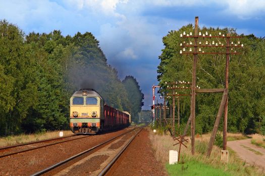 Freight train hauled by the diesel locomotive is passing the forest