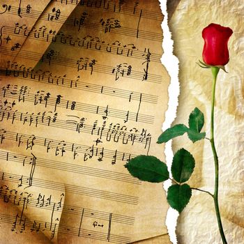 musical background with rose