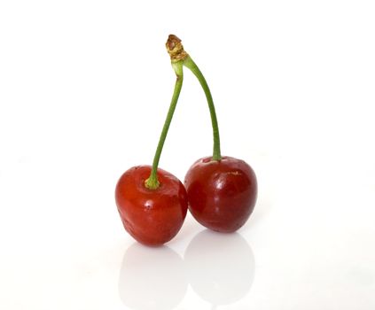 Couple of cherry isolated on white background