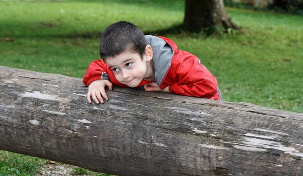 Cute little boy with sly expression leans on the thick log